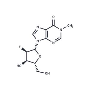 2'-Deoxy-2'-fluoro-N1-methyl ? inosine
