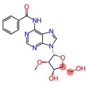 N6-Benzoyl-2'-O-Methyl-adenosine