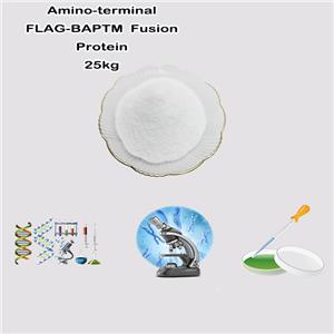 Deoxyribonucleic Acid SodiuM Salt (SalMon Milt)