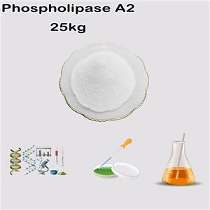 Phospholipase A2