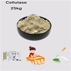 Cellulase