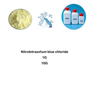 Nitrotetrazolium blue chloride