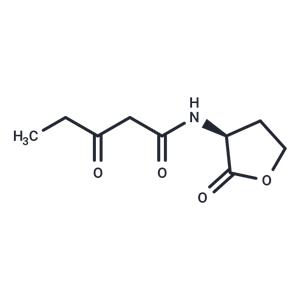 N-3-oxo-pentanoyl-L-Homoserine lactone