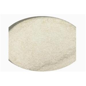 BOVINE SERUM ALBUMIN (BSA)