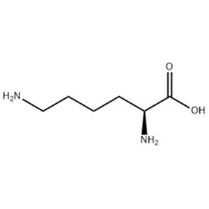 L-Lysine Base