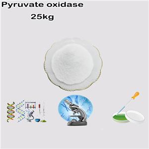 Pyruvate oxidase