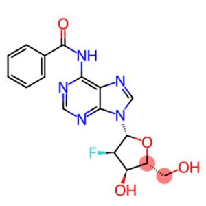 N6-Benzoyl-2'-Fluoro-2'-deoxyadenosine