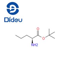 L-NORVALINE T-BUTYL ESTER