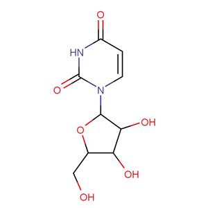 L-Uridine