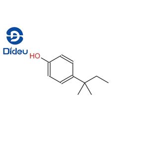 4-tert-Amylphenol