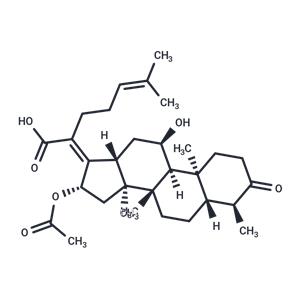 3-keto Fusidic Acid