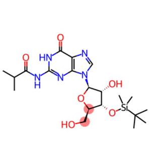 Guanosine, 3'-O-[(1,1-dimethylethyl)dimethylsilyl]-N-(2-methyl-1-oxopropyl)-