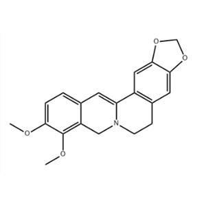 dihydroberberine