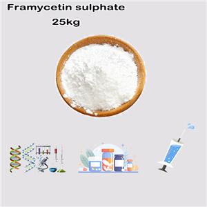 Framycetin sulphate