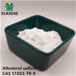 51022-70-9 Albuterol sulfate