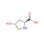 51-35-4 L-Hydroxyproline