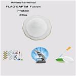 Deoxyribonucleic Acid SodiuM Salt (SalMon Milt) pictures