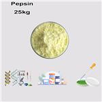 9001-75-6 Pepsin