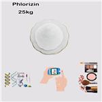 60-81-1 Phlorizin