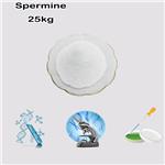 71-44-3 Spermine