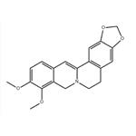 483-15-8 dihydroberberine