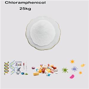 Chloramphenicol