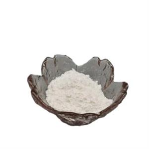 Bupivacaine hydrochloride