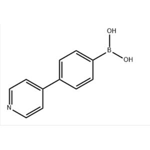 4-(pyridin-4-yl)phenylboronic acid