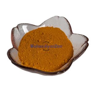 Ginkgo biloba extract