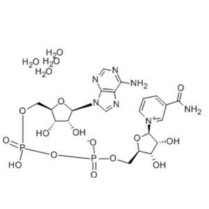Beta-Nicotinamide adenine dinucleotide ,oxidized form