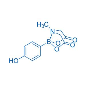 4-Hydroxyphenylboronic acid MIDA ester