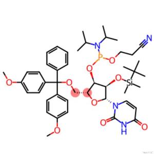 DMT-2′O-TBDMS-rU Phosphoramidite