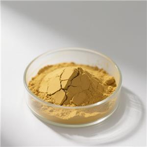 HYDROXYPROPYL CHITOSAN