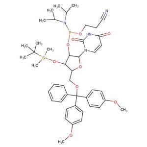 5'-O-(4,4'-DiMethoxy)- 3'-O-(t-butyldiMethylsilyl) uridine, 2'-[(2-cyanoethyl)-(N,N-diisopropyl)]-phosphoraMidite