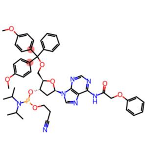 5'-O-(4,4'-DIMETHOXYTRITYL)-N6-PHENOXYACETYL-2'-DEOXYADENOSINE-3'-(2-CYANOETHYL-N,N-DIISOPROPYL)PHOSPHORAMIDITE