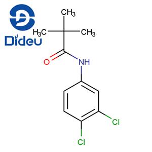 3',4'-DICHLOROPIVALANILIDE