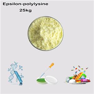 EPSILON-POLYLYSINE