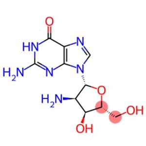 2'-Amino-2'-deoxyguanosine