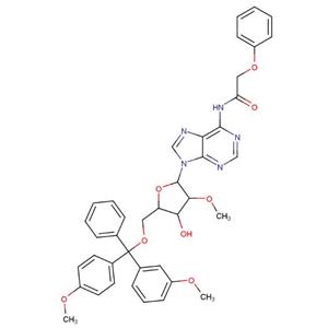 5'-O-DMT-2'-O-methyl-N6-phenoxyacetyl-D-adenosine