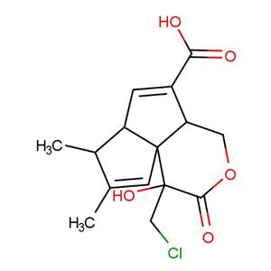 5'-DMT-3'-TBDMS-ibu-rG