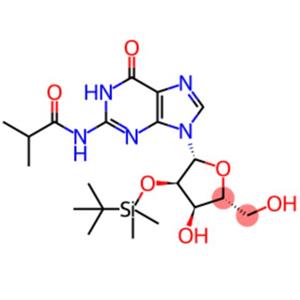 2'-O-(tert-Butyldimethylsilyl)-N-isobutyrylguanosine