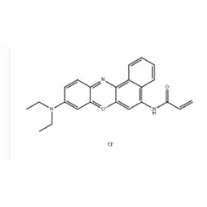 Nile blue acrylamide
