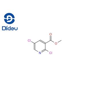 METHYL 2,5-DICHLORONICOTINATE
