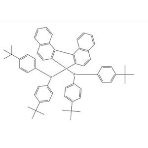Phosphine, (1S)-[1,1'-binaphthalene]-2,2'-diylbis[bis[4-(1,1-dimethylethyl)phenyl]- (9CI)