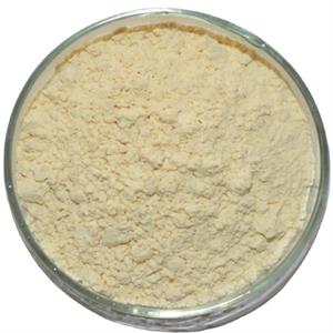 Raloxifene hydrochloride