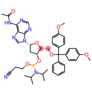 5'-O-DMT-N6-Acetyl-2'-deoxyadenosine 3'-CE phosphoramidite