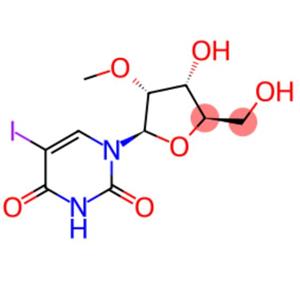 2'-(O-METHYL)-5-IODOURIDINE