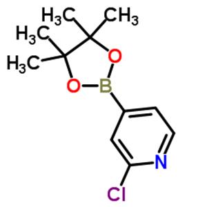 2-Chloropyridine-4-boronic acid pinacol ester