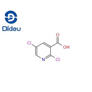 2,5-Dichloronicotinic acid