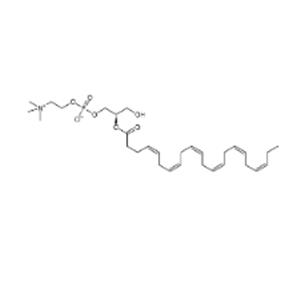 2-Docosahexaenoyl-sn-glycero-3-phosphocholine